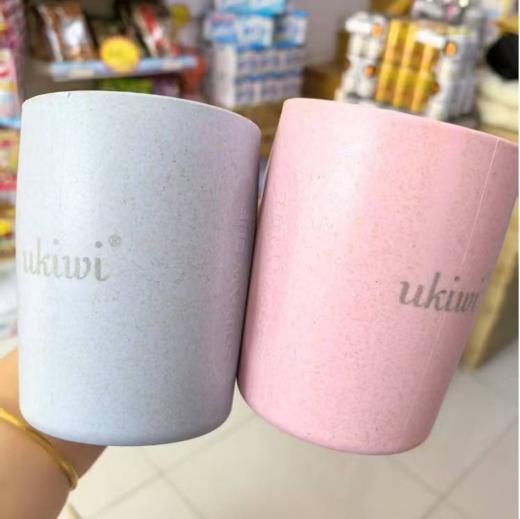 北欧 系列洗漱杯（粉色&蓝色）【无外包装 介意勿拍】 商品图0