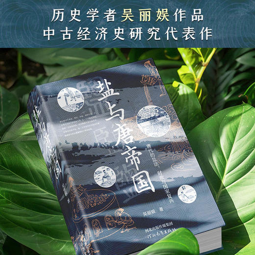 盐与唐帝国：唐代的盐法、财政与国家复兴 商品图1