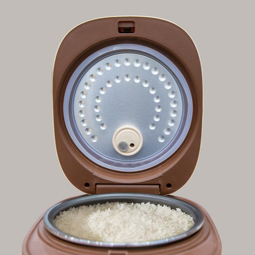 爱仕达 米德电饭煲AR-F30E927 商品图3