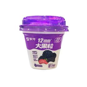 蒙牛260g桑葚草莓大果粒酸奶