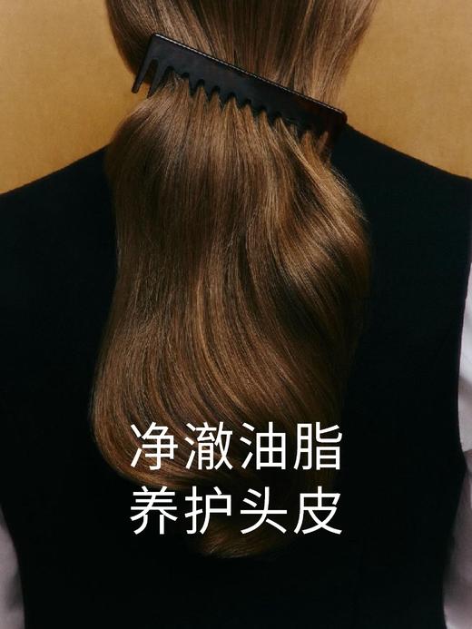 【210元会员福利】暖树·净爽洗发露400ml    净油护发蓬松 商品图1