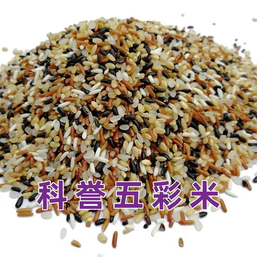 【贵州帮扶】科誉 五彩米 1kg 商品图3