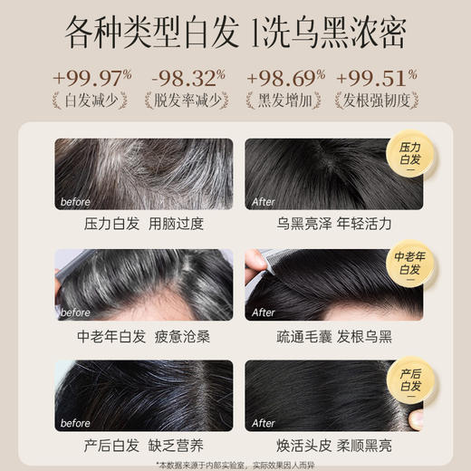【小来】儒意黑灵芝何首乌洗发水控油去屑止痒非纯植物品牌官方旗舰店养发500g/瓶 商品图1