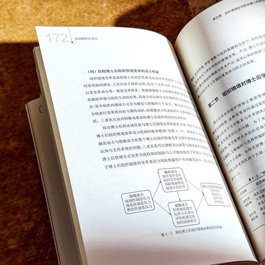 流动期的社会化 高校博士后学术职业认同与行动选择 蒋贵友 商品图10