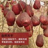 新疆直发 新疆特产 新货精选和田大枣500g肉厚饱满新疆红枣干果特产零食 商品缩略图2