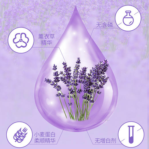 【清洁去污】爱恩倍 薰衣草香氛洗衣液 （2kg*1桶/2.6kg*1袋） 植物萃取净衣不伤手 商品图3