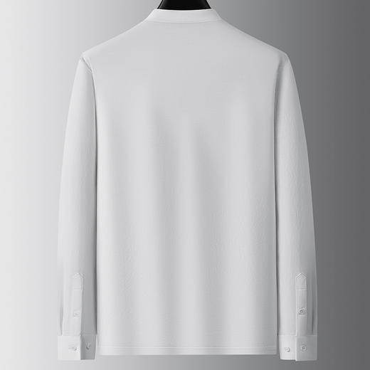 【牛津麻料】【DDA】大依优型大码长袖衫休闲立领棉质衬衣服男士加肥加大码简约胖子春款 商品图2