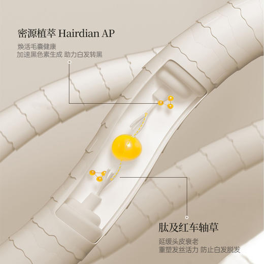 【小来】儒意黑灵芝何首乌洗发水控油去屑止痒非纯植物品牌官方旗舰店养发500g/瓶 商品图3