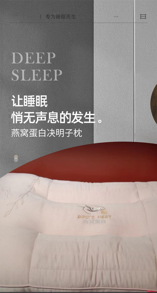三套车DBJMZZ-01燕窝蛋白决明子枕 商品图0