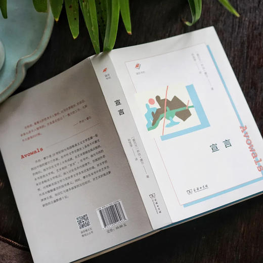 宣言 涵芬书坊（新版）〔爱尔兰〕乔治·摩尔 著 孙宜学 译 商务印书馆 商品图3