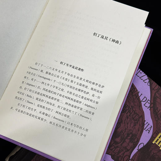 神曲：插图珍藏版 商品图5