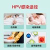 hpv检测自检试纸男女性验尿液检测尖锐湿疣宫颈癌病毒筛查卡试剂 商品缩略图3