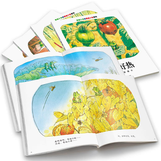 青蛙小弟和青蛙小妹系列(全4册) 商品图1