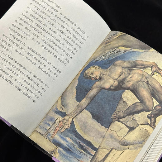 神曲：插图珍藏版 商品图4