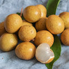 【分仓直发包邮】泰国龙眼1斤（中果，果径25-28mm）（带小枝条发货） 商品缩略图1