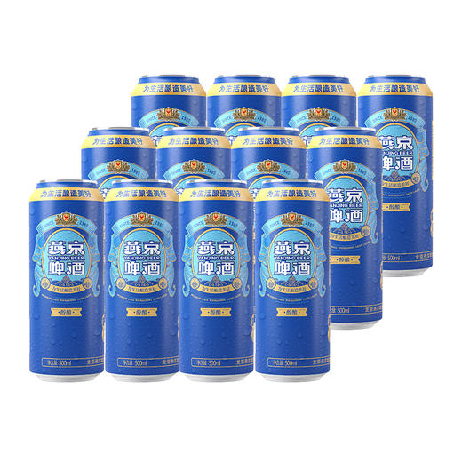 燕京醇酿 听装 8度 整箱500ml*12罐（云仓发货） 商品图7