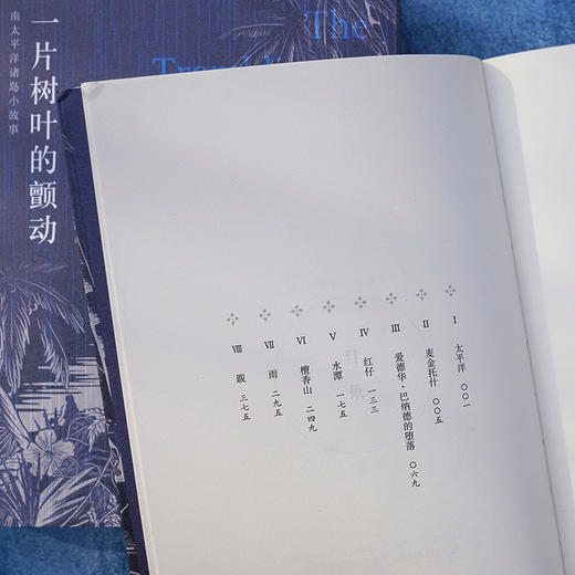 一片树叶的颤动  广西师范大学出版社 商品图2