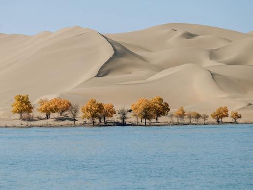 南疆秋令 | 大漠金色胡杨 走进新疆帕米尔高原9日之旅 商品图14