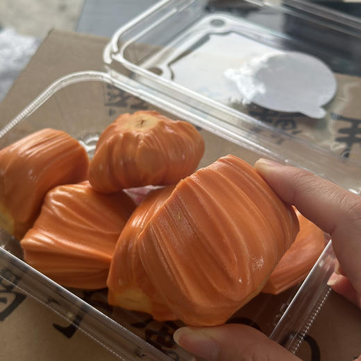 〔上海直发包邮06〕菠萝蜜 商品图1