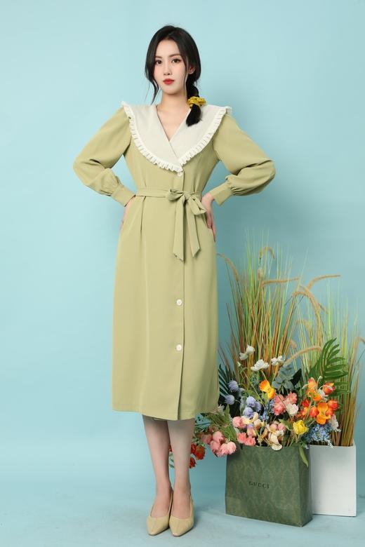 amadella 清新甜美大翻领收腰连衣裙 15848 商品图3