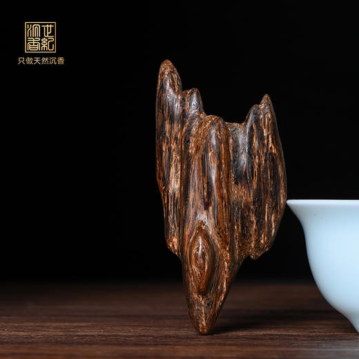 天然芽庄沉香 沉水级 25.1克 SP6185 商品图0