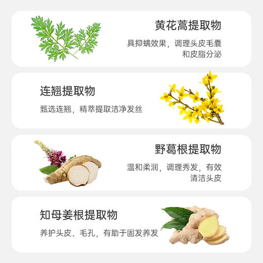 征服青蒿控油免洗轻盈蓬松喷雾干发喷雾头发控油神器高颅顶蓬蓬粉 商品图3