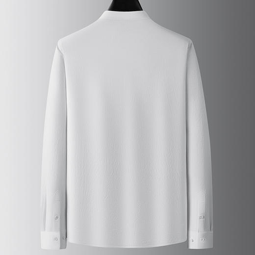 【牛津麻料】【DDA】大依优型大码长袖衬衫休闲立领棉质衬衣服男士加肥加大码简约胖子春款 商品图3