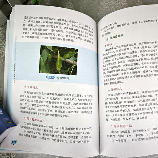 有机蔬菜无土栽培技术大全(彩色图解 视频升级版) 商品图1