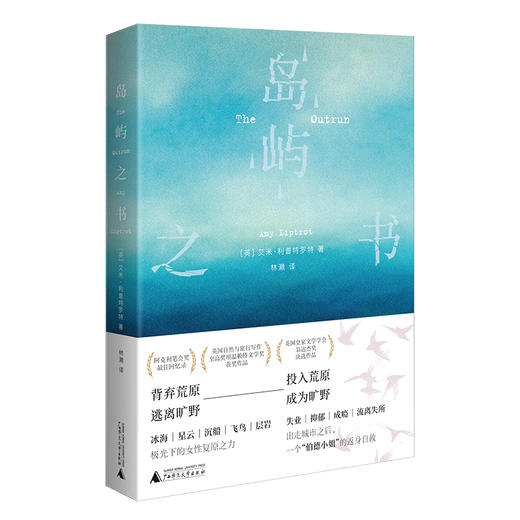 岛屿之书  广西师范大学出版社 商品图2