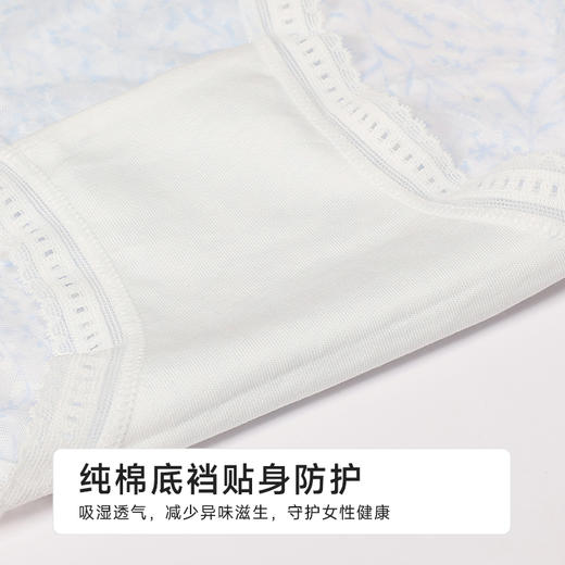 都市丽人薄透丝滑蕾丝网布系列蕾丝平角裤LKH2A2 商品图7
