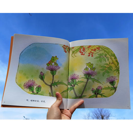 青蛙小弟和青蛙小妹系列(全4册) 商品图4