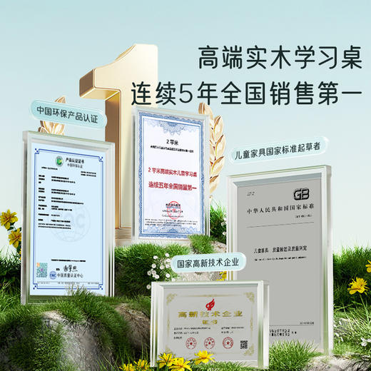 【常爸专属】2平米学习桌实木儿童书桌写字桌椅套装小学生家用可升降书桌领航员 商品图4