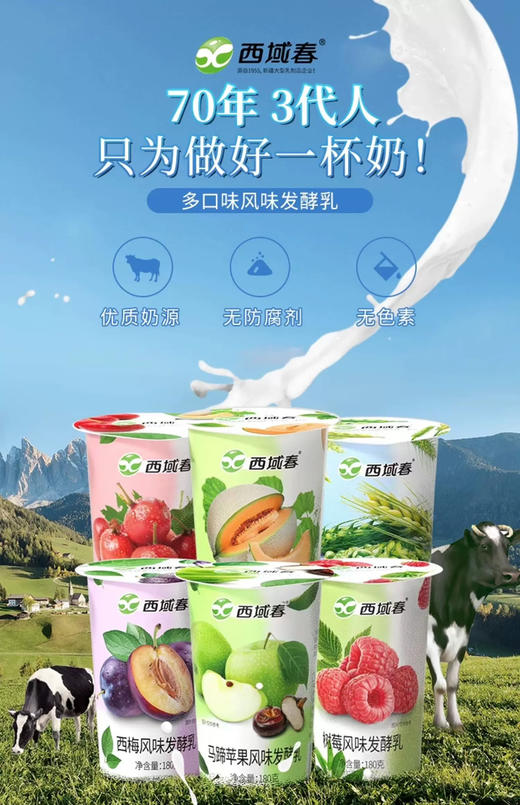预售新疆特产西域春水果风味发酵乳低温酸奶180g*12杯口味随机发原产地发货 商品图5