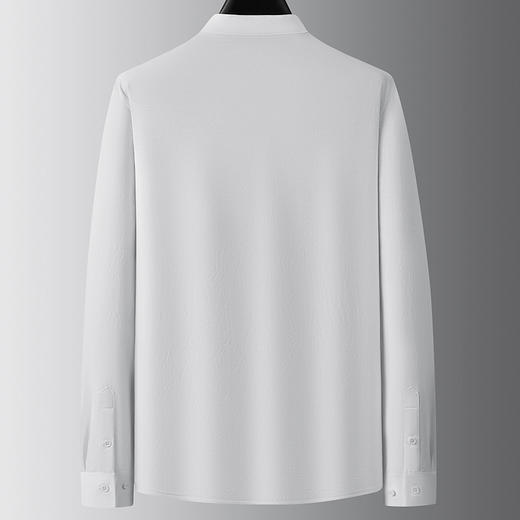 【牛津麻料】【DDA】大依优型大码长袖衬衫休闲立领棉质衬衣服男士加肥加大码简约胖子春款 商品图2