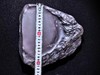 伦少国「蜿蜒」端砚·坑仔岩 纯手工原石雕刻砚台 商品缩略图7