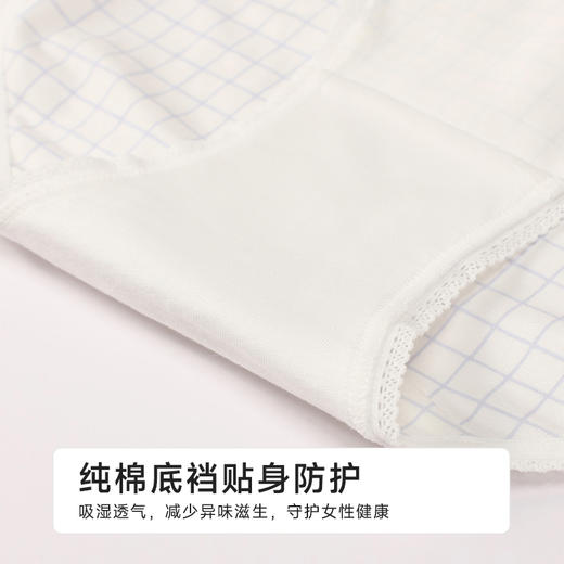 都市丽人舒肤棉纯棉系列40支棉平角裤LKH5A5 商品图7