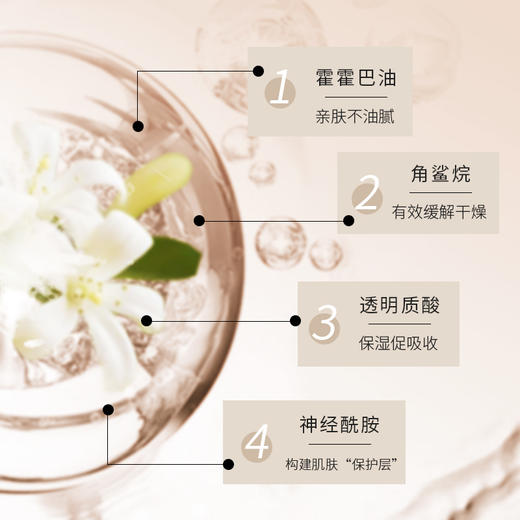 植想说高保湿修护水霜 商品图1