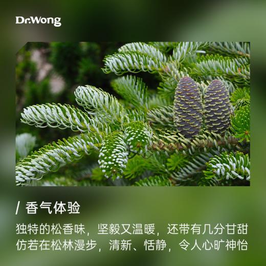 欧洲冷杉 单方精油 商品图1