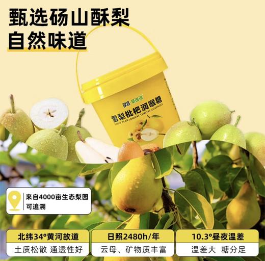 摩音草珊瑚 雪梨枇杷润喉糖 商品图1