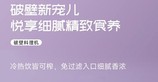 欧锐铂磨工坊精磨料豆浆机ORB-1691 商品图2