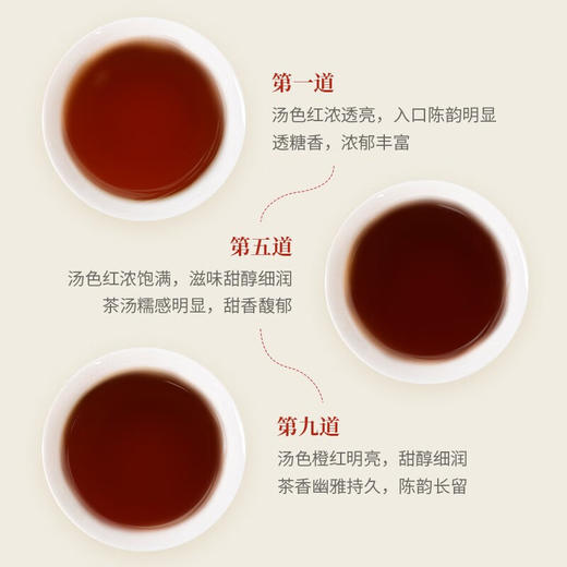 2022年中茶源启普洱熟茶357g 商品图6