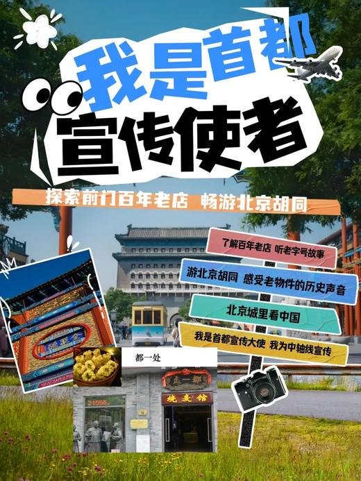 【京西稻保护区植树】积累2H志愿时长，手作石画、春日植树 商品图0