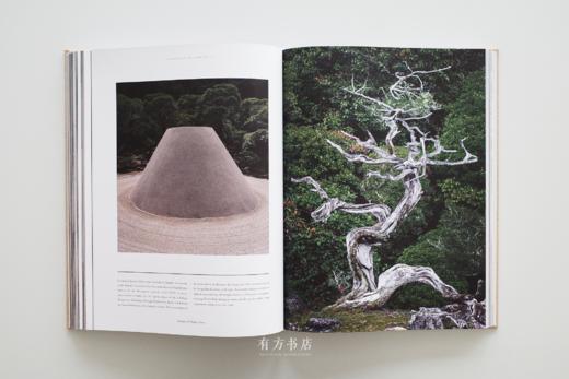 静谧之美：日式建筑与设计美学探索 Stillness: An Exploration of Japanese Aesthetics in Architecture and Design 商品图8