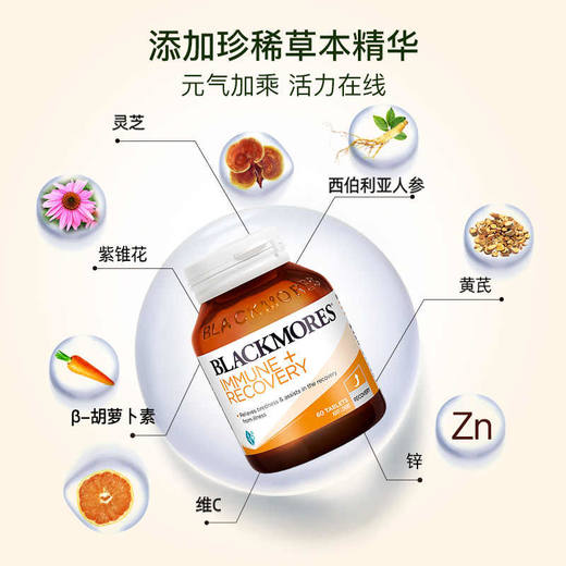 【保税仓】Blackmores澳佳宝紫锥花精华+锌配方60片 商品图1