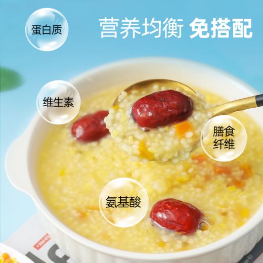 燕之坊七日粥 五谷杂粮粥100g*9袋 八宝粥小米粥粗粮营养早餐 商品图2