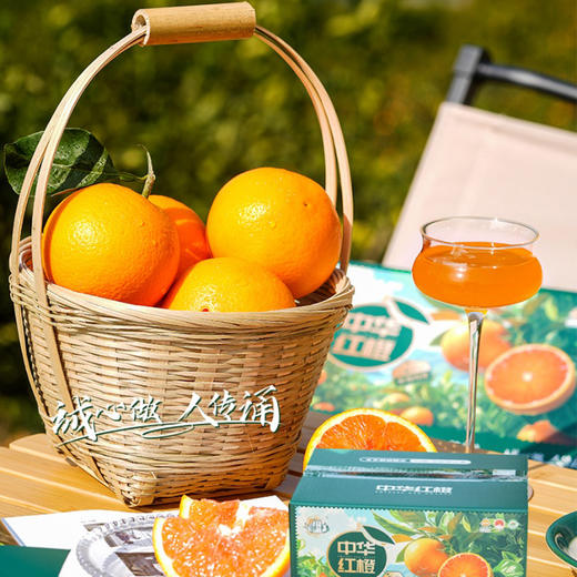 中华红橙 商品图0