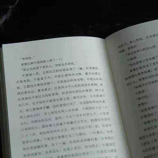 《长篇小说:一句顶一万句》刘震云矛盾文学奖获奖作品 商品图4