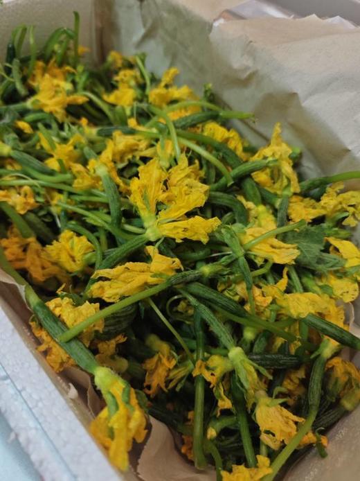 【春日限定 小黄瓜花】一口尝尽春天的清爽与鲜美｜北纬37°鲜采带花嫩瓜 间苗鲜采 新鲜果蔬 1斤装 [自然生长+手工采摘，不接急单，72h发货，节假日顺延，] 商品图1