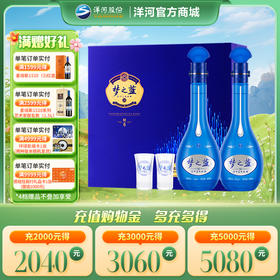 洋河 梦之蓝M6礼盒 45度500mL 双支装