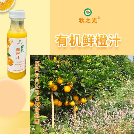 【产地直发包邮】秋之光—有机鲜橙汁（冷冻） 商品图1
